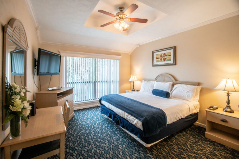 Photo of bedroom with king bed, ceiling fan, flat screen tv and nightstands. Room 225